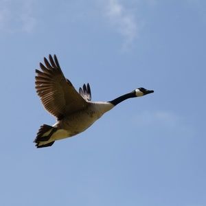 Meet your Posher, Nichole